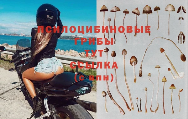 мяу мяу кристалл Алзамай