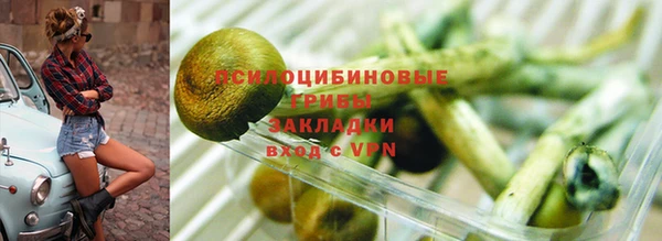 a pvp Абинск