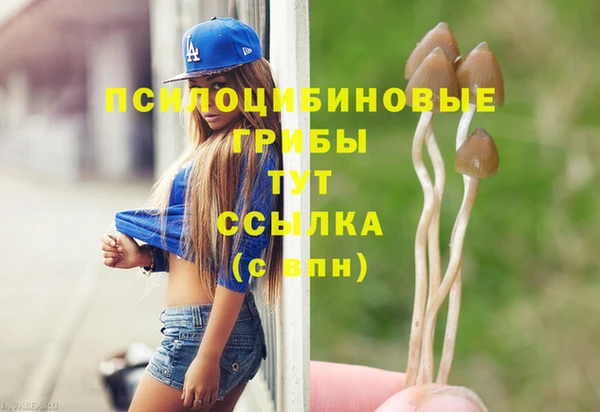 прущие грибы Алексеевка